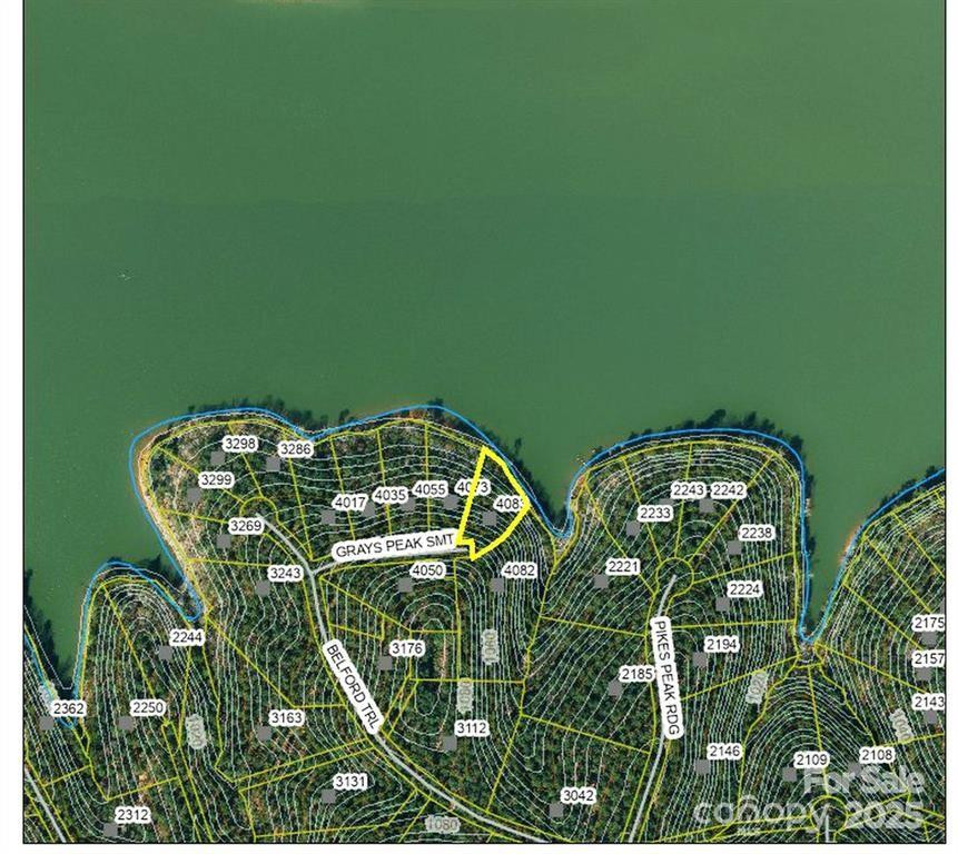 4083 Grays Peak Summit None #169 - Photo 41