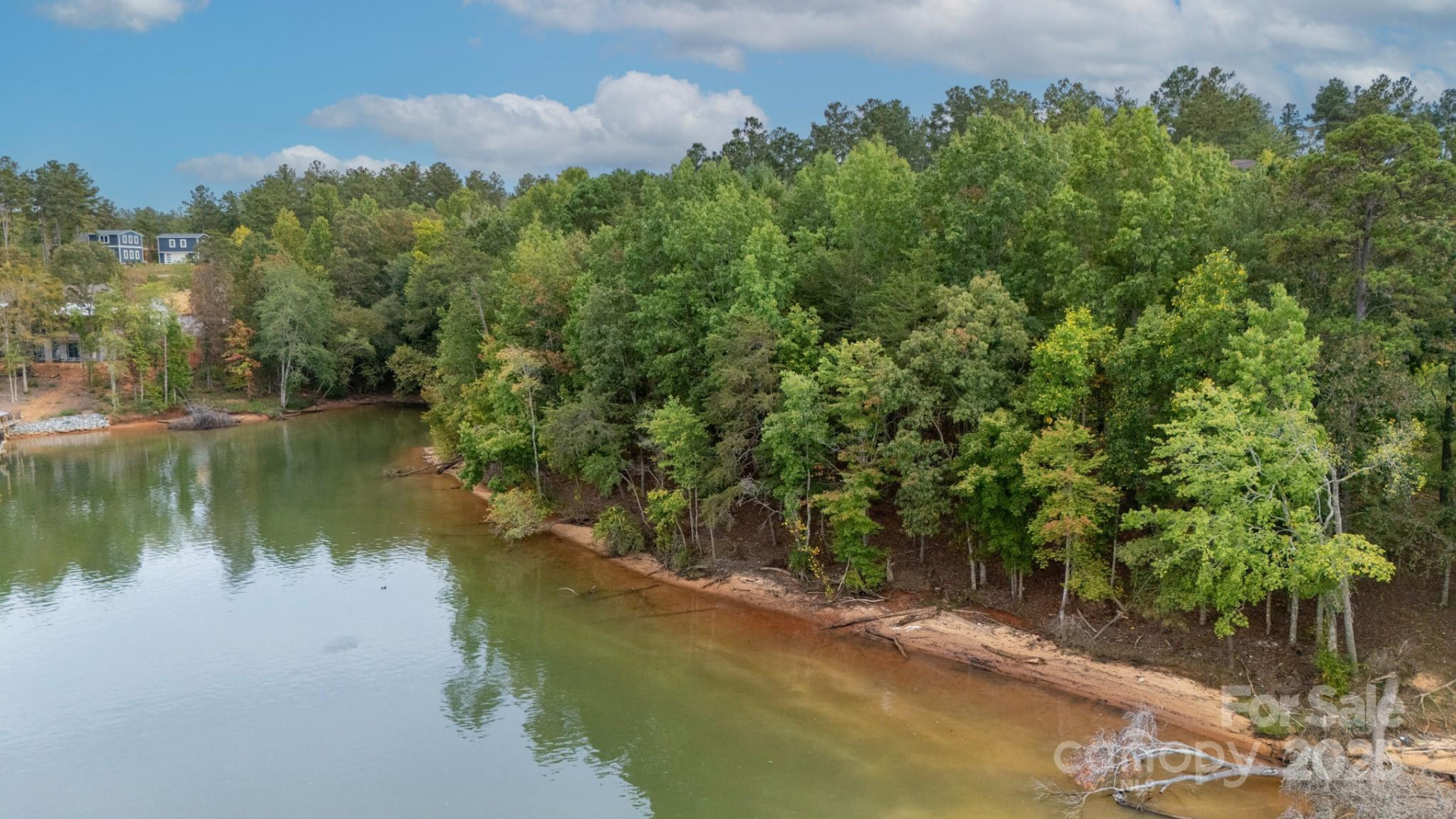 4083 Grays Peak Summit None #169 - Photo 8