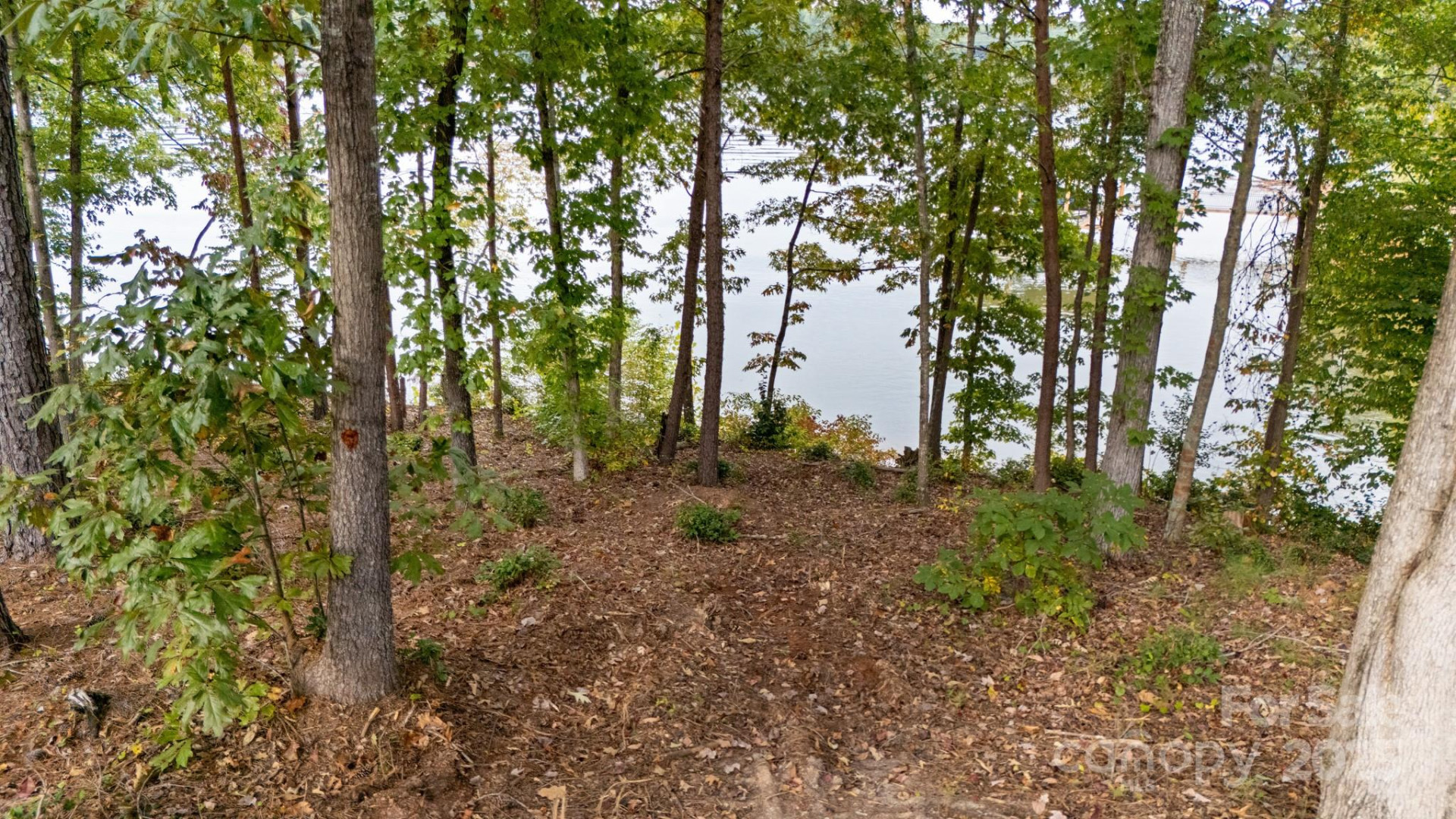 4083 Grays Peak Summit None #169 - Photo 9