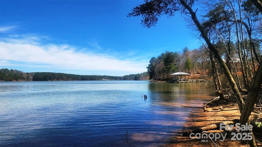 4083 Grays Peak Summit None #169 - Photo 10