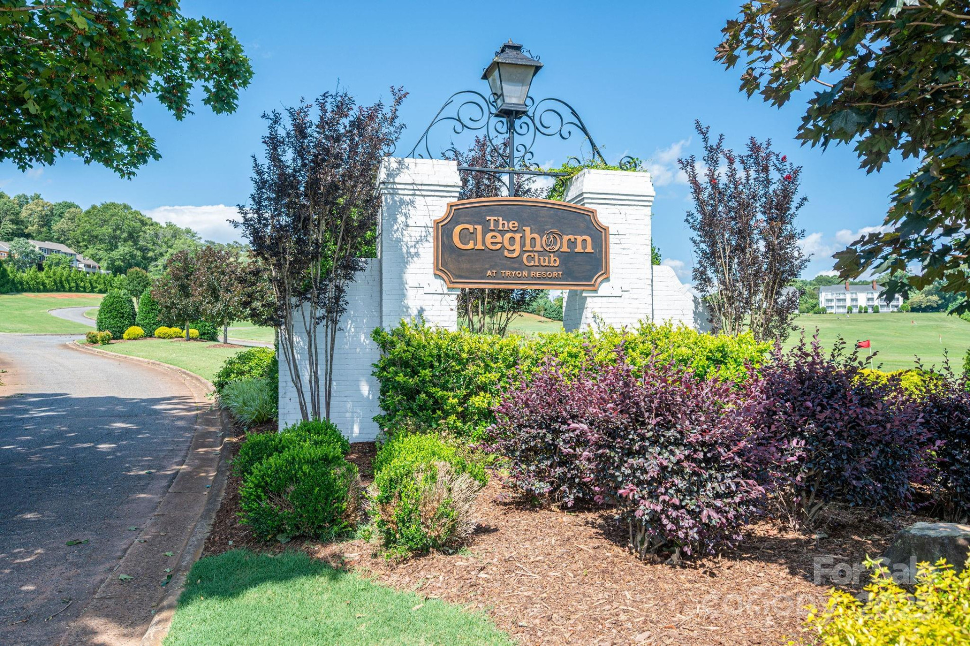 Lot 3 Cleghorn Mill Road - Photo 7