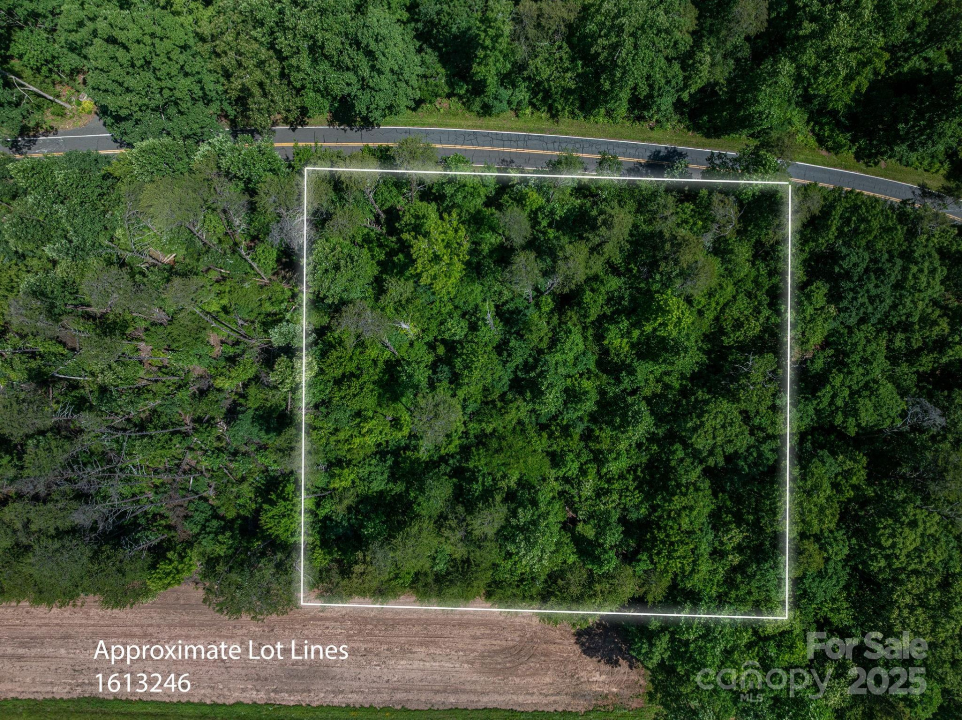 Lot 2 Cleghorn Mill Road - Photo 2
