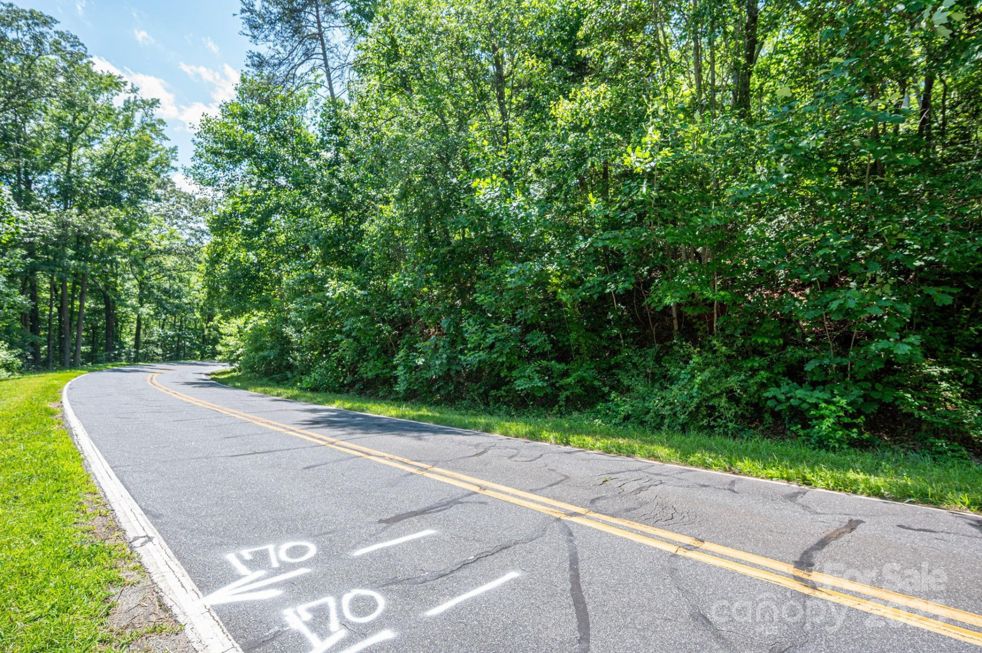 Lot 2 Cleghorn Mill Road - Photo 12