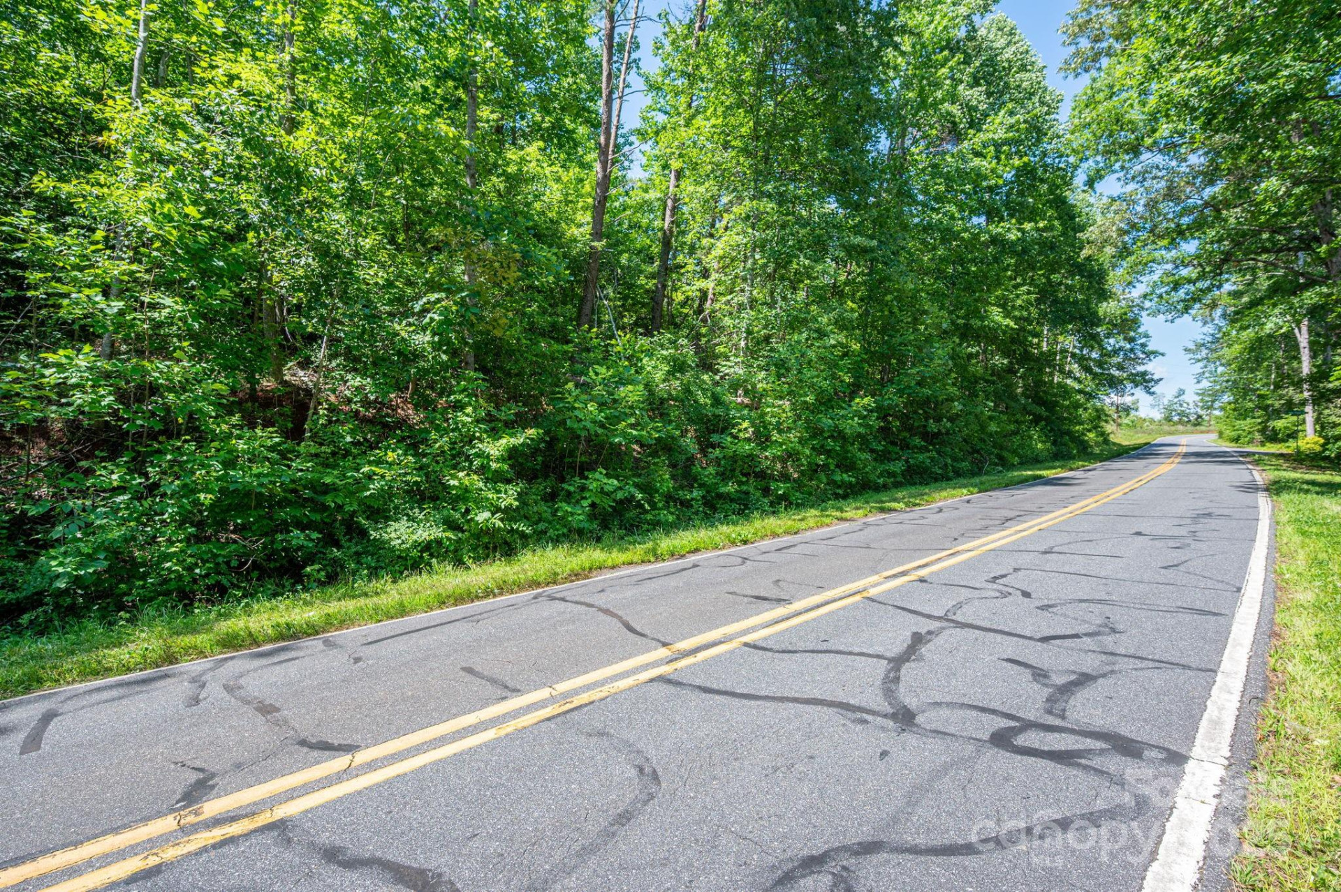 Lot 2 Cleghorn Mill Road - Photo 13