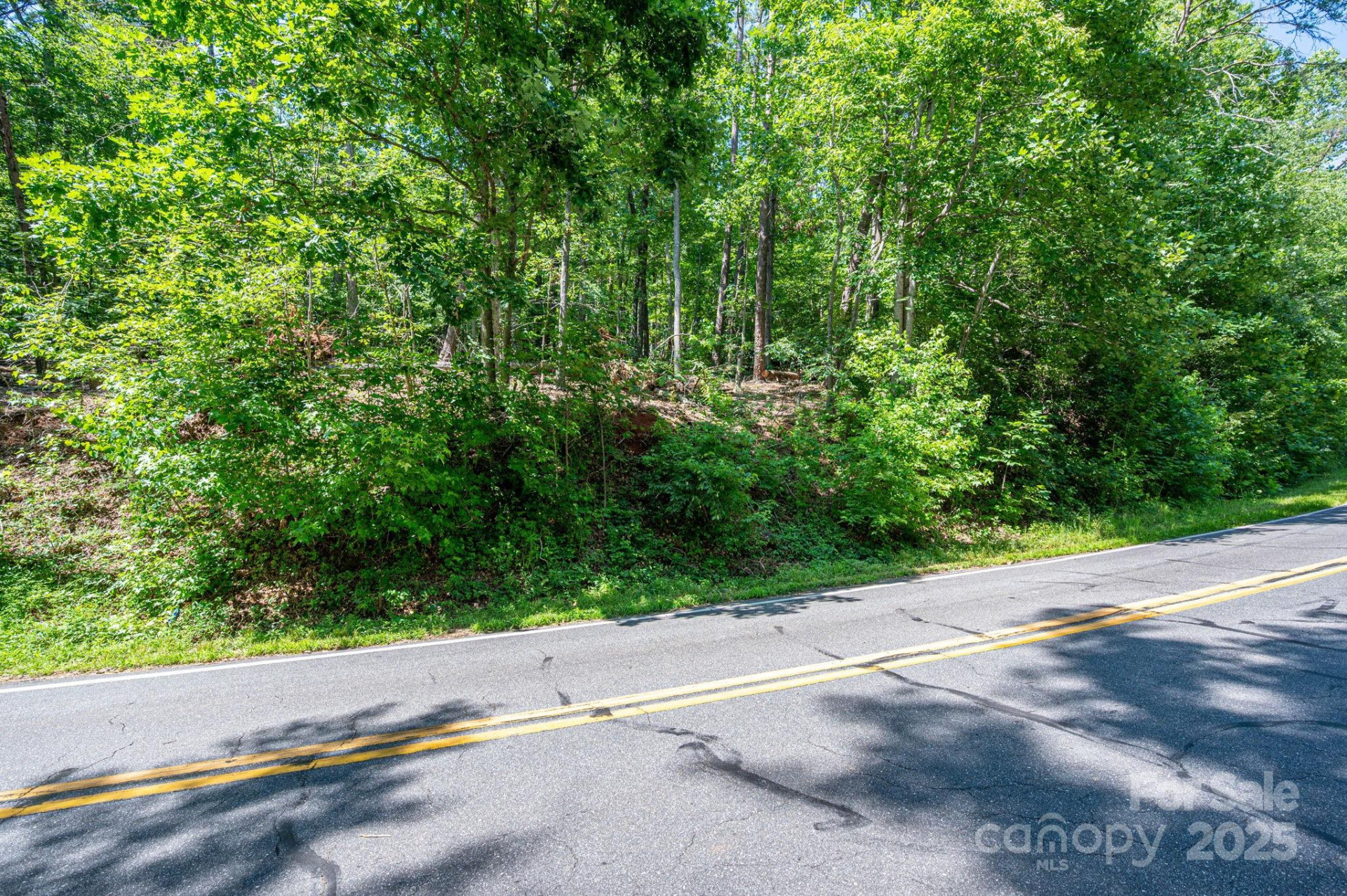 Lot 2 Cleghorn Mill Road - Photo 9