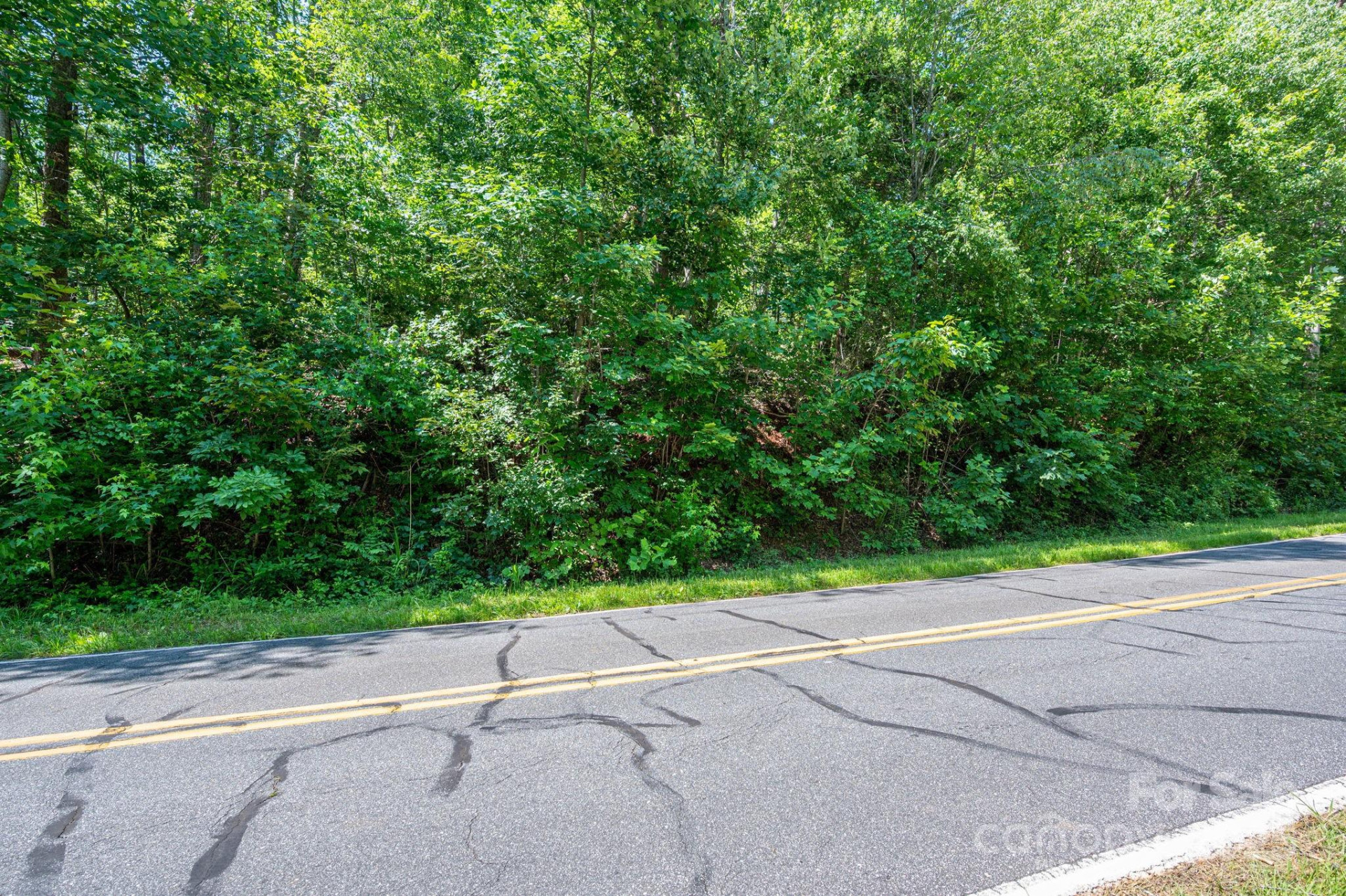 Lot 2 Cleghorn Mill Road - Photo 10