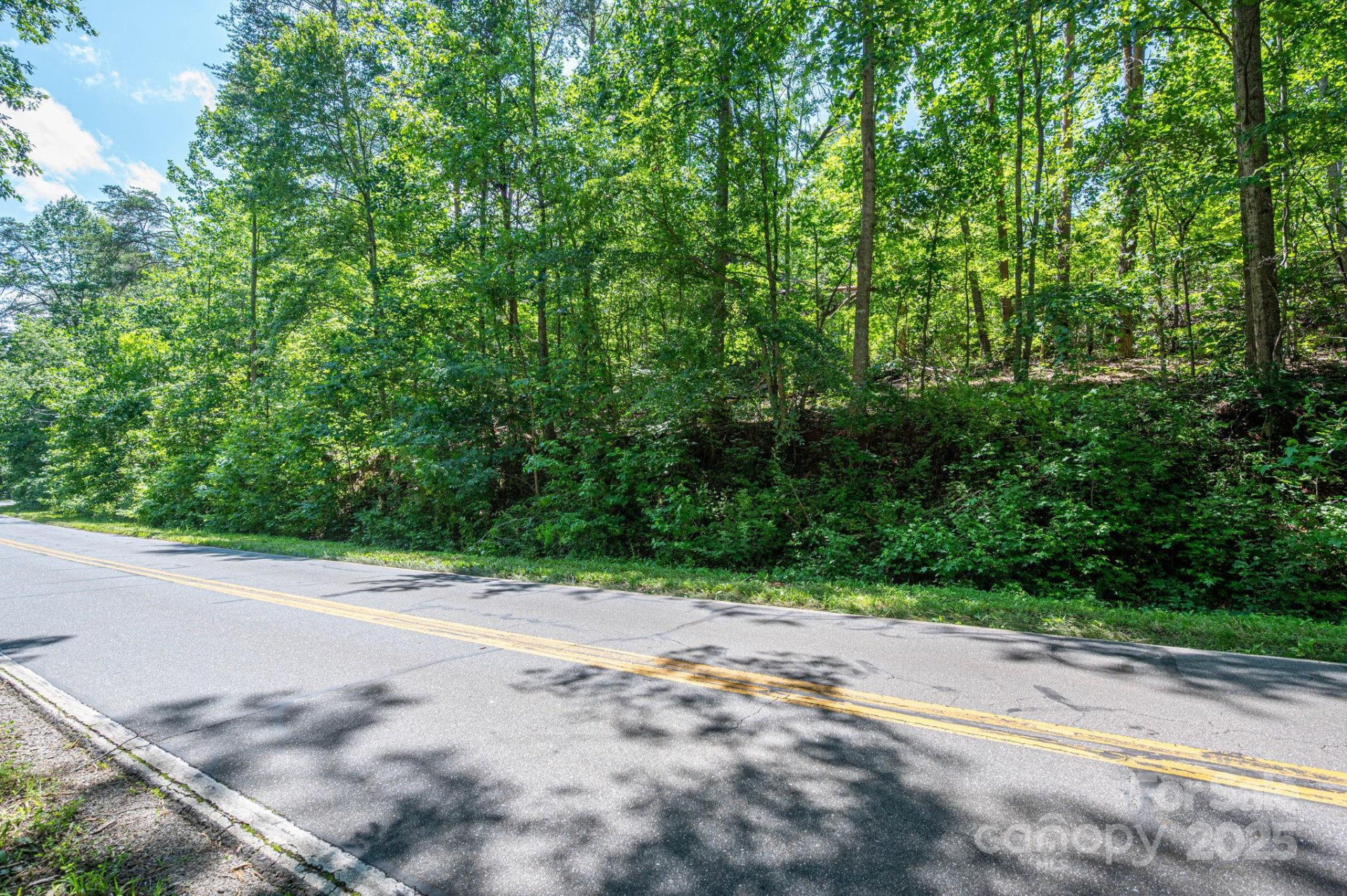 Lot 1 Cleghorn Mill Road - Photo 2
