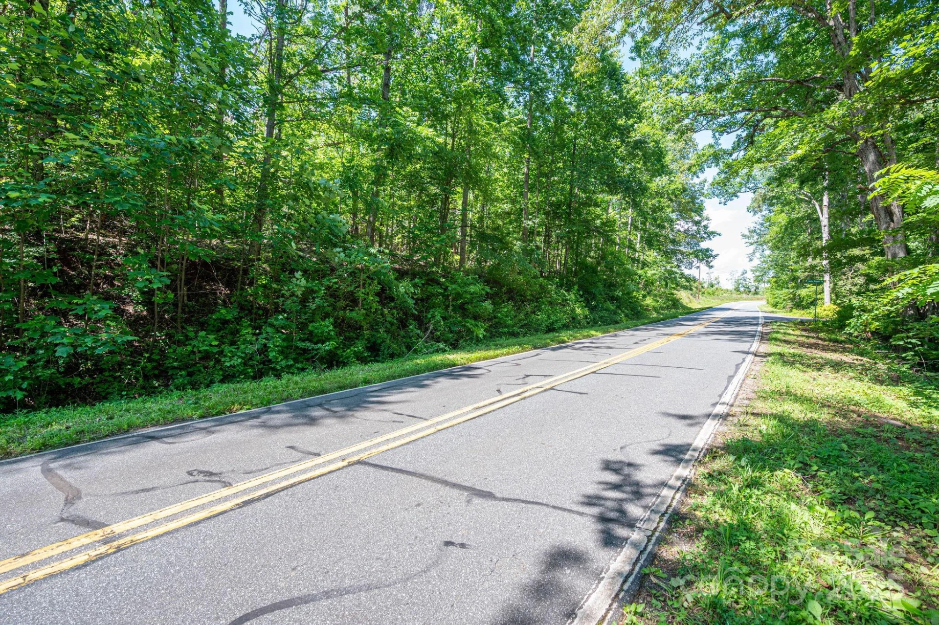 Lot 1 Cleghorn Mill Road - Photo 12