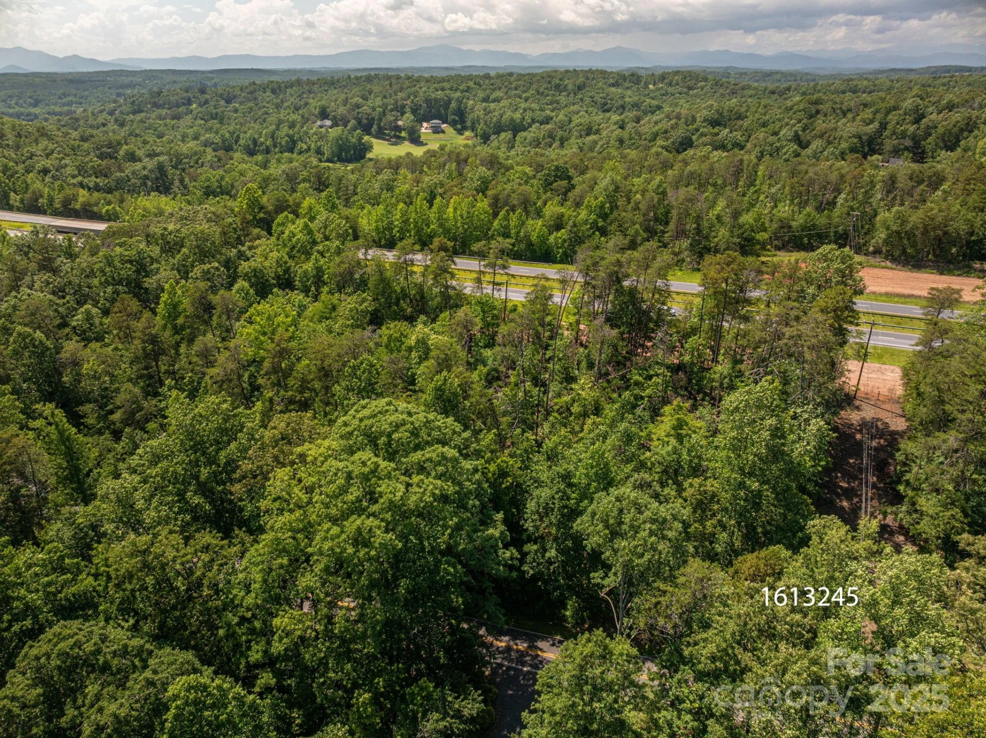 Lot 1 Cleghorn Mill Road - Photo 3