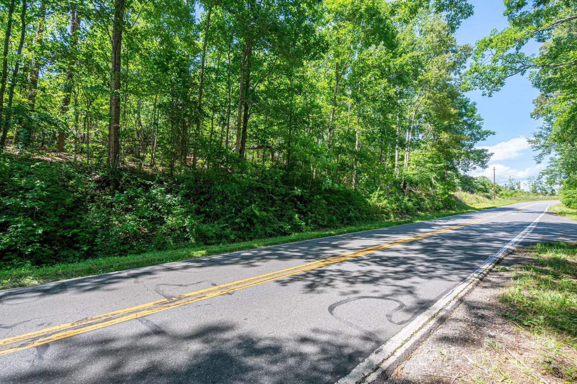 Lot 1 Cleghorn Mill Road - Photo 9