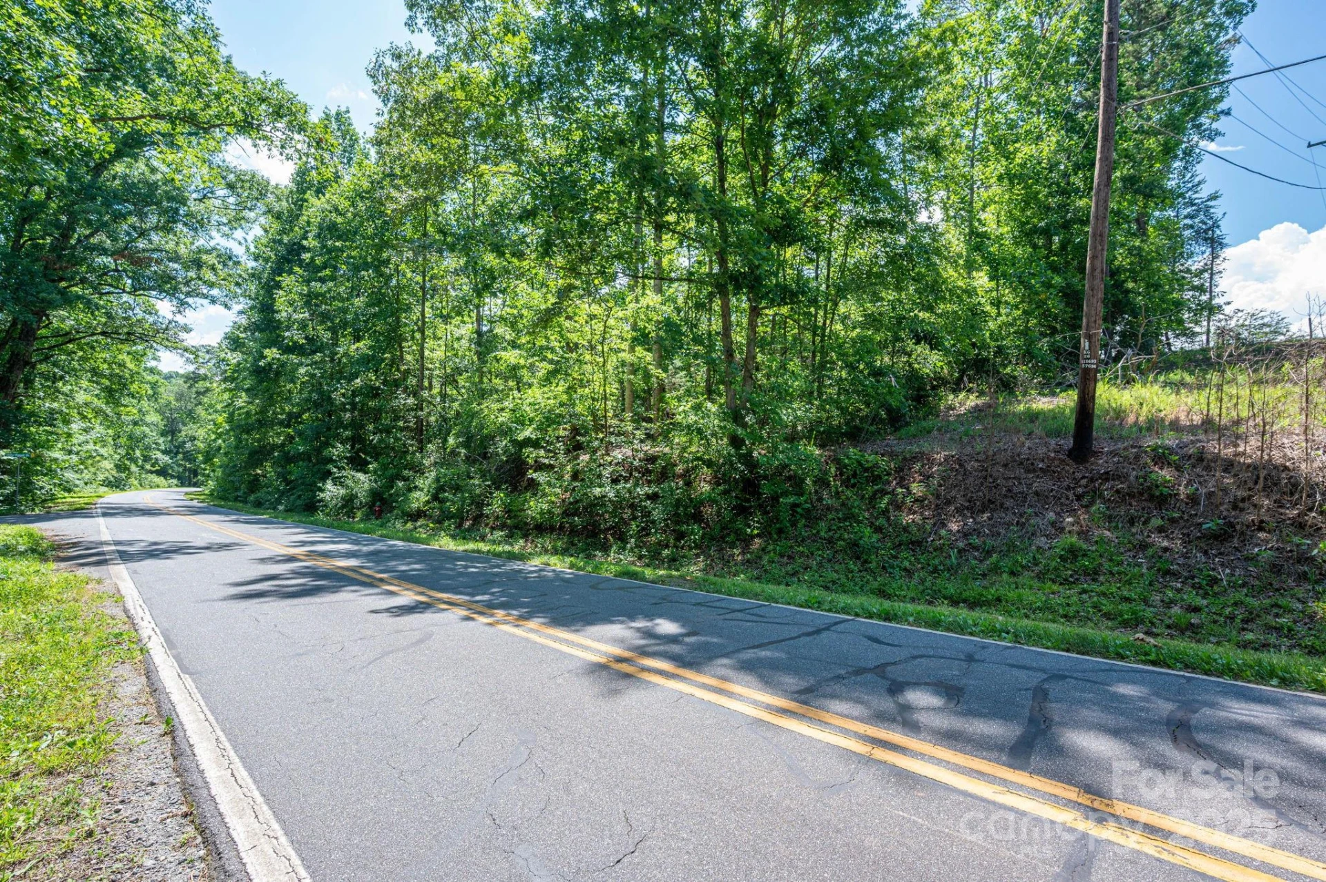 Lot 1 Cleghorn Mill Road - Photo 10
