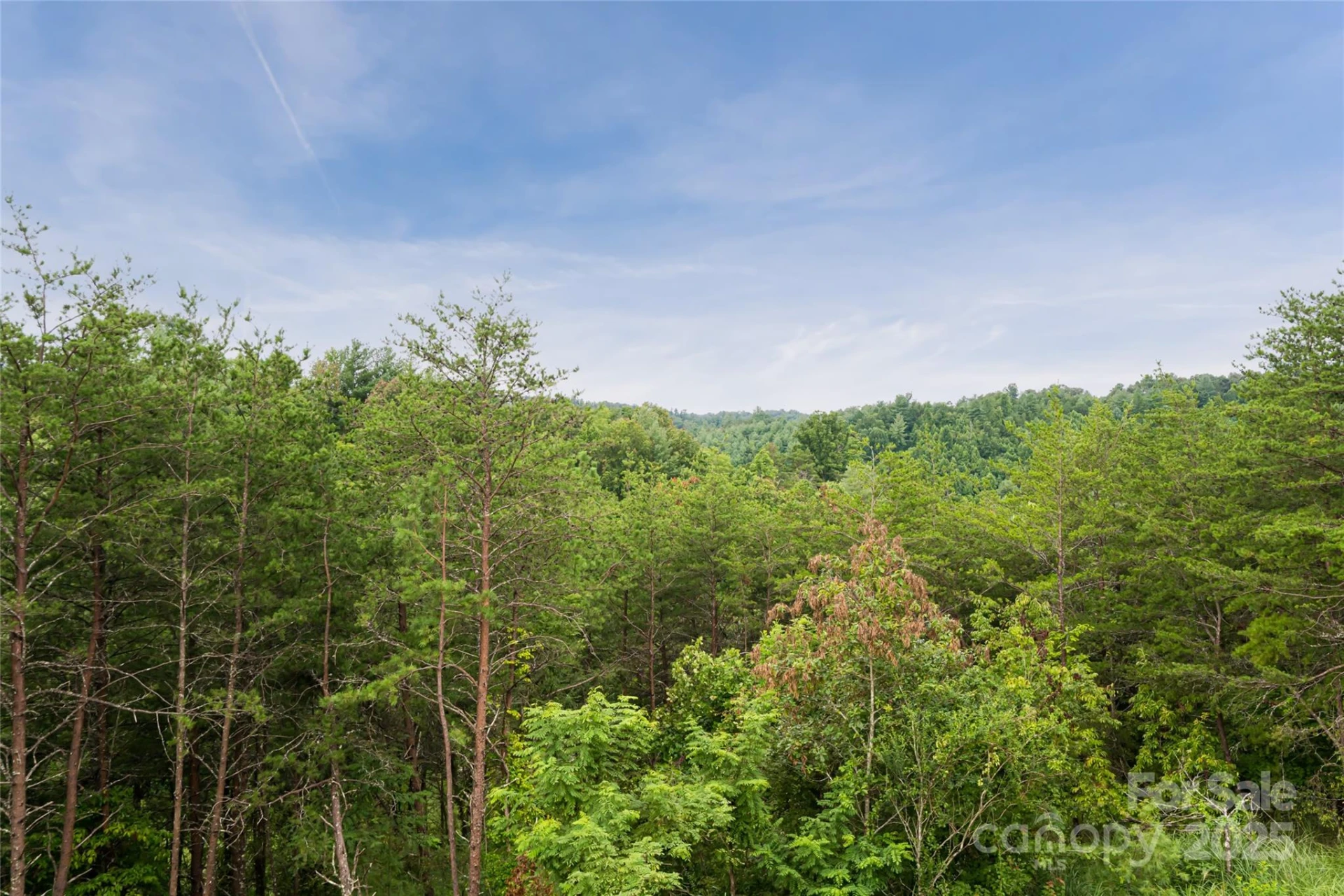 181 Flint Morgan Road - Photo 20