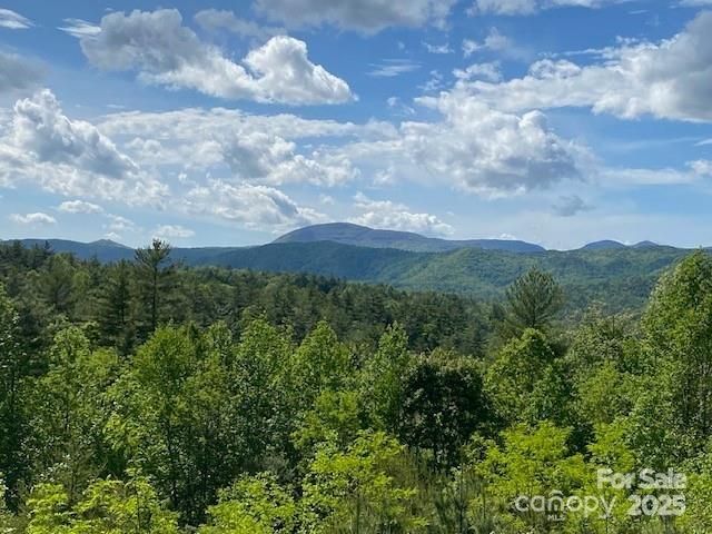 241(Lot 58) Peppervine Circle, Rosman, NC, 28772