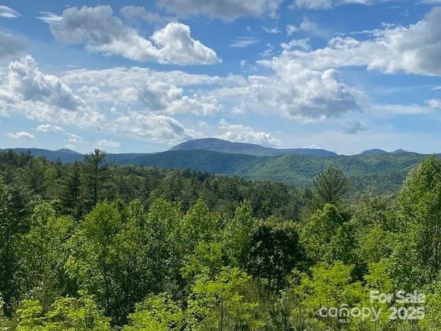 241(Lot 58) Peppervine Circle