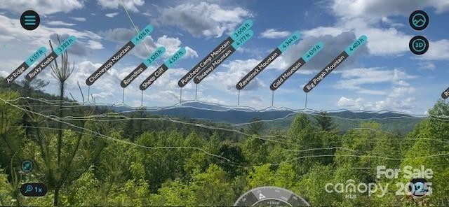 241(Lot 58) Peppervine Circle - Photo 2