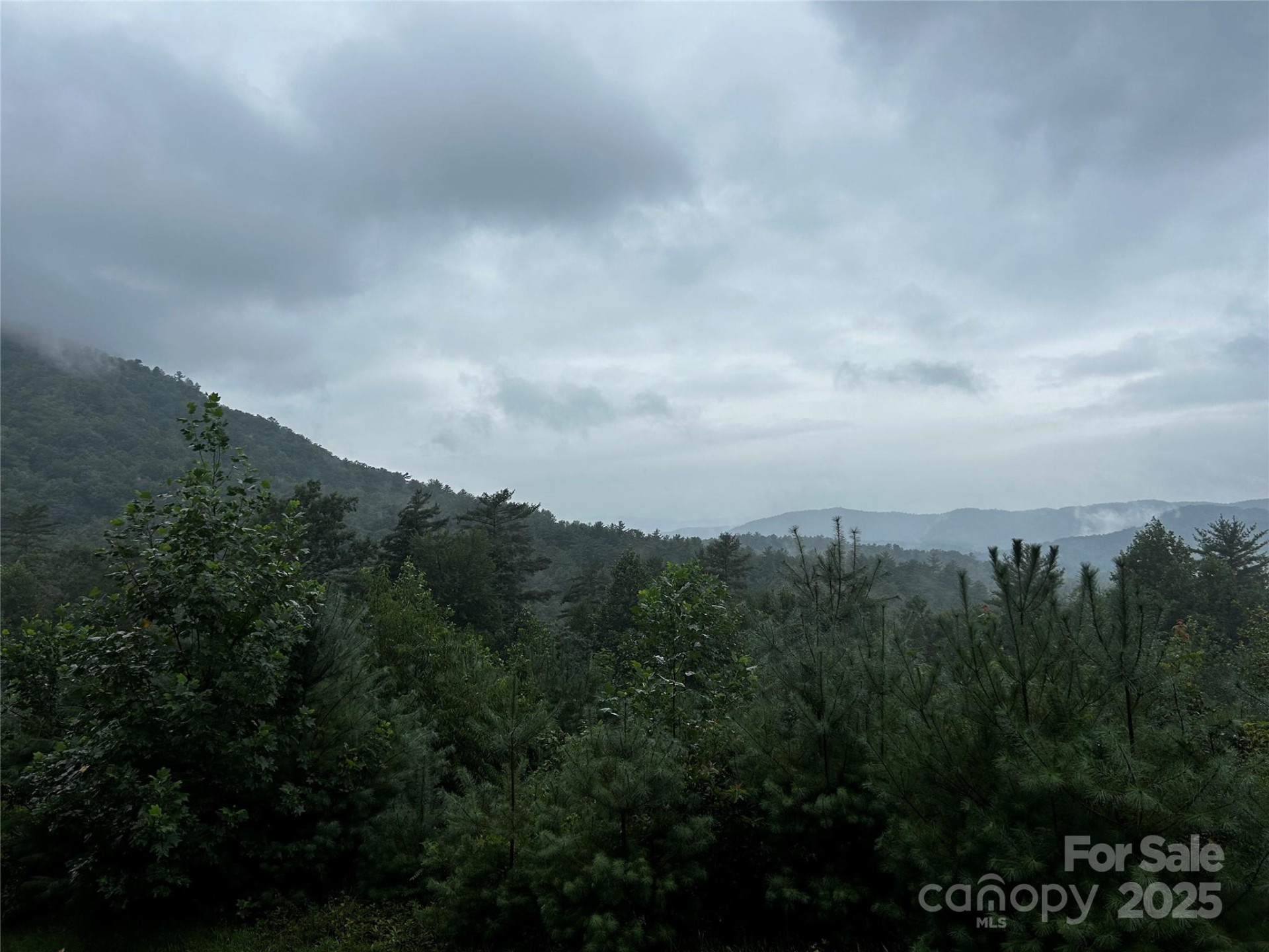 241(Lot 58) Peppervine Circle - Photo 11