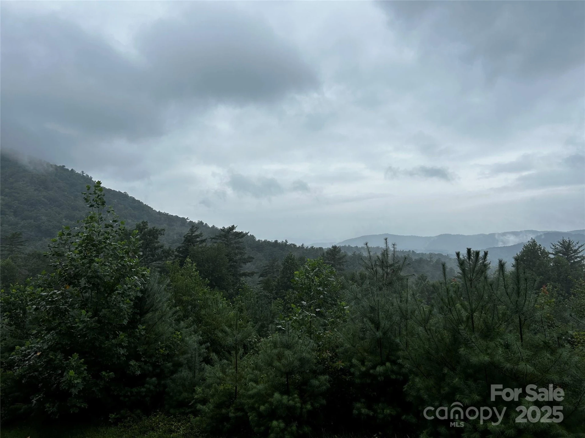 241(Lot 58) Peppervine Circle - Photo 11