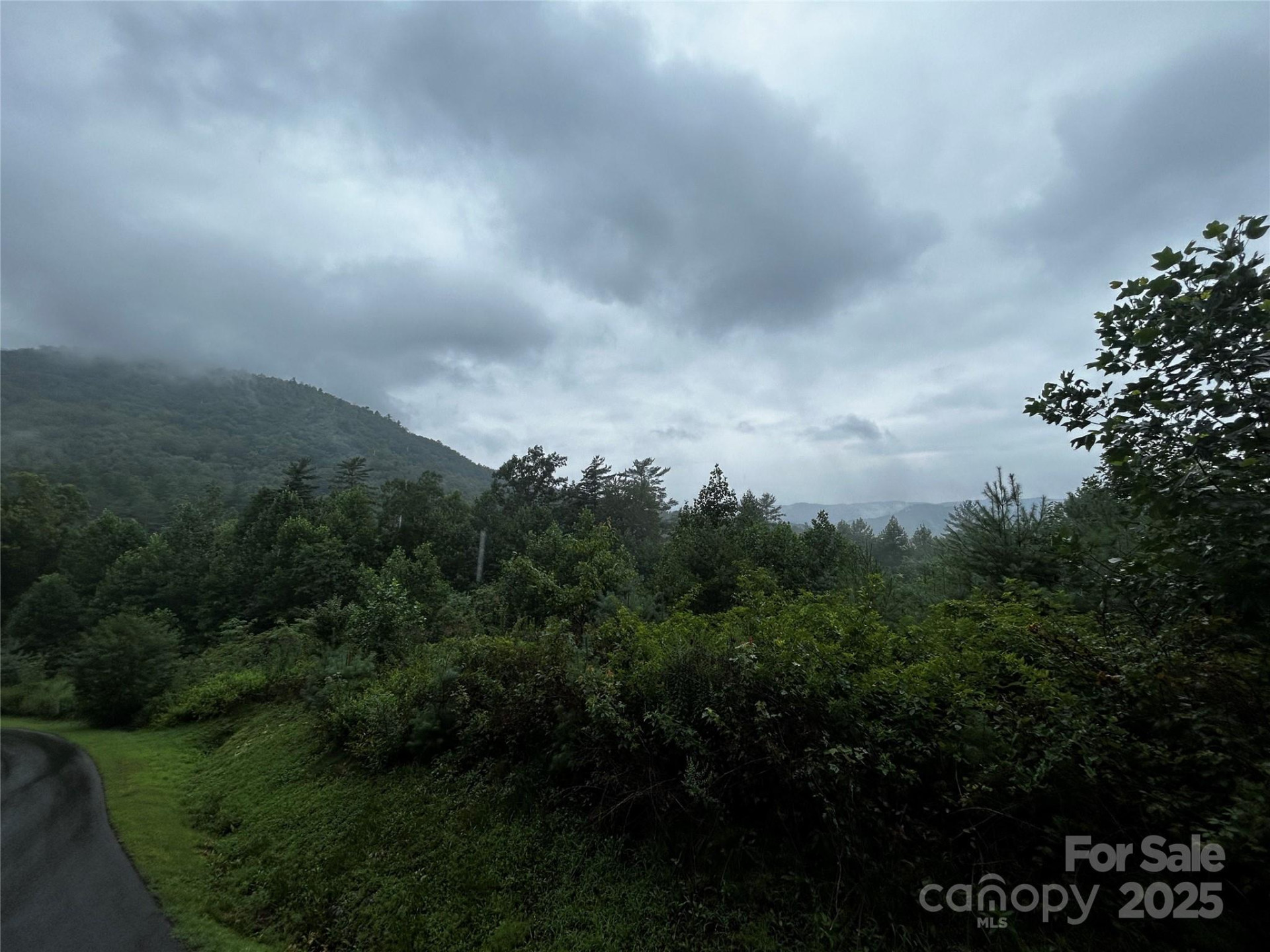 241(Lot 58) Peppervine Circle - Photo 12