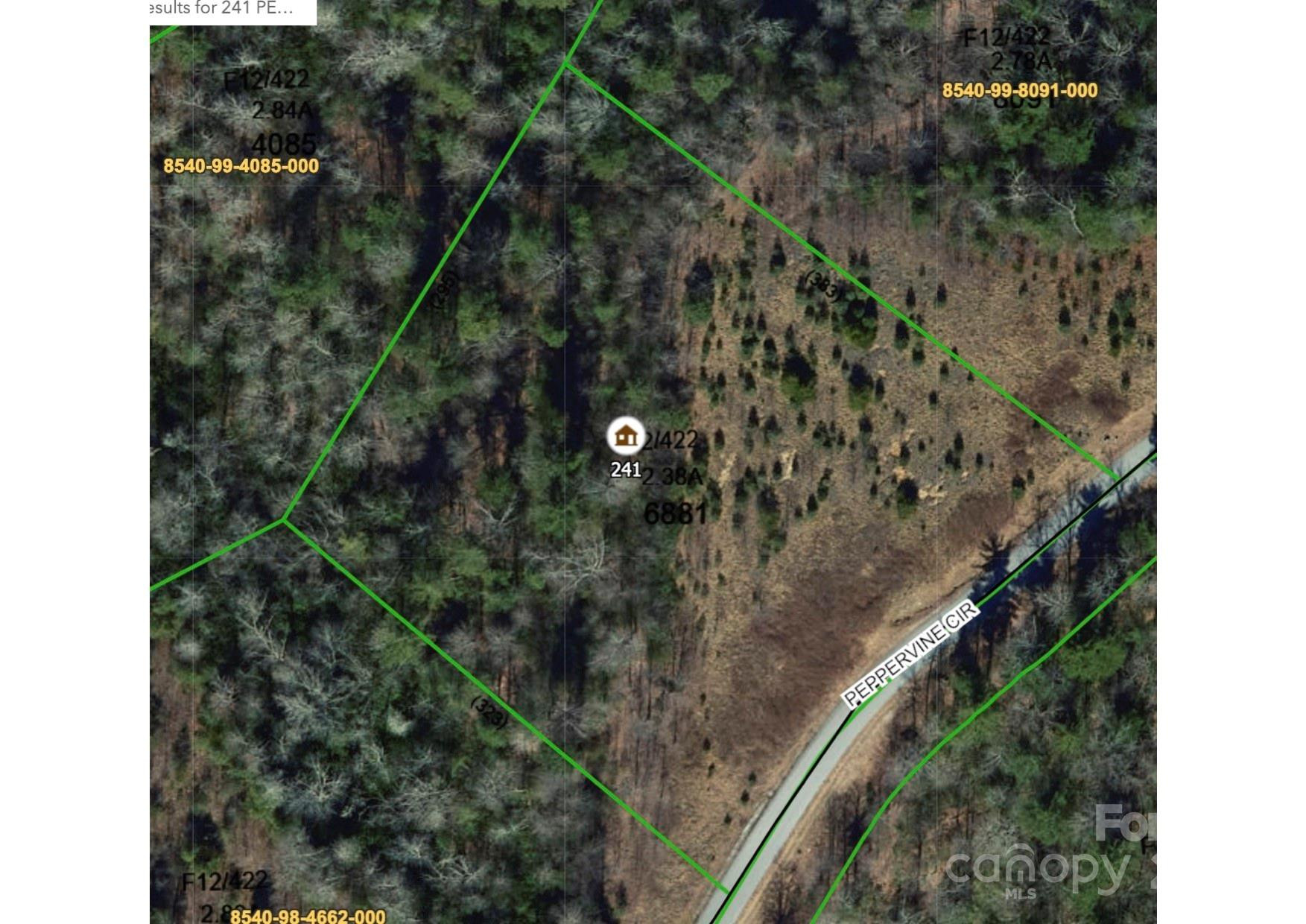 241(Lot 58) Peppervine Circle - Photo 13