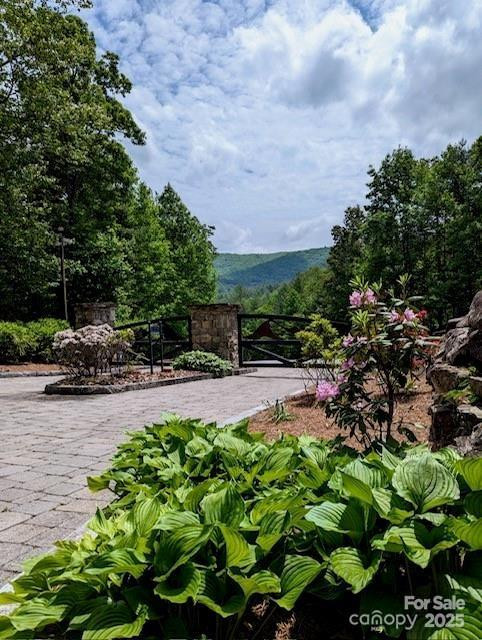 241(Lot 58) Peppervine Circle - Photo 14