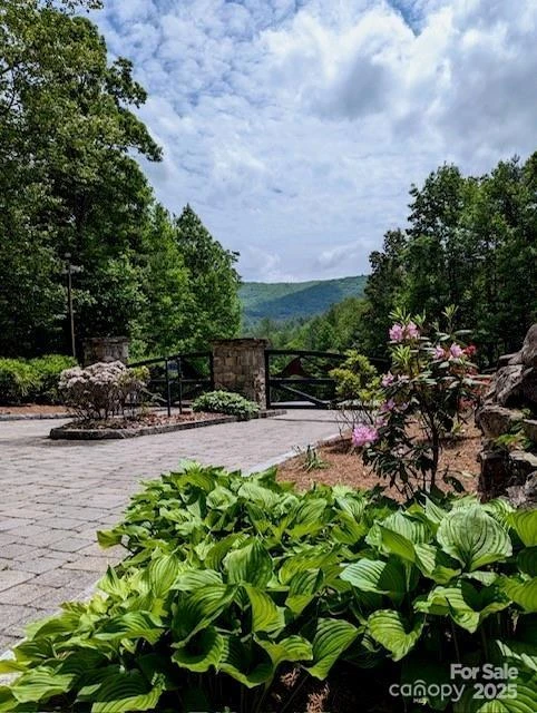 241(Lot 58) Peppervine Circle - Photo 14