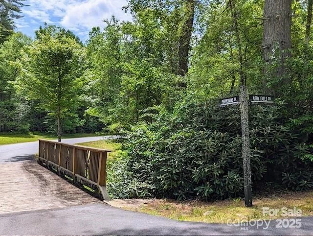 241(Lot 58) Peppervine Circle - Photo 15