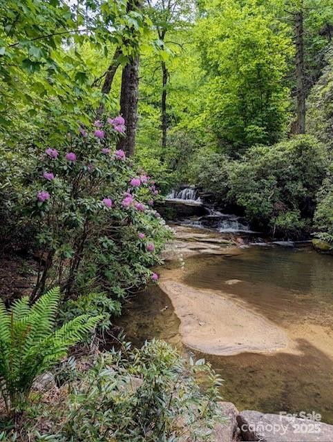 241(Lot 58) Peppervine Circle - Photo 19