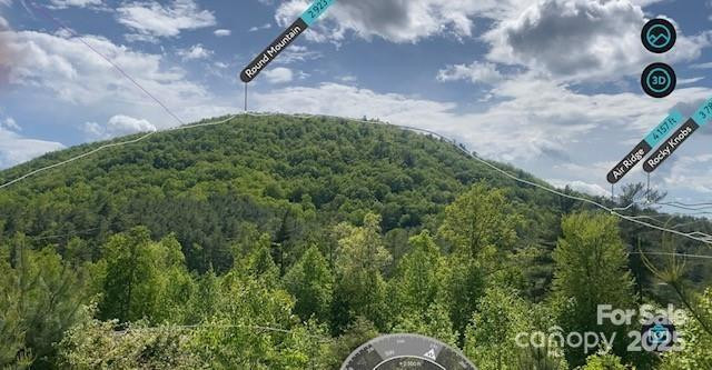 241(Lot 58) Peppervine Circle - Photo 3