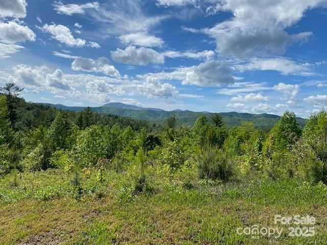 241(Lot 58) Peppervine Circle - Photo 4