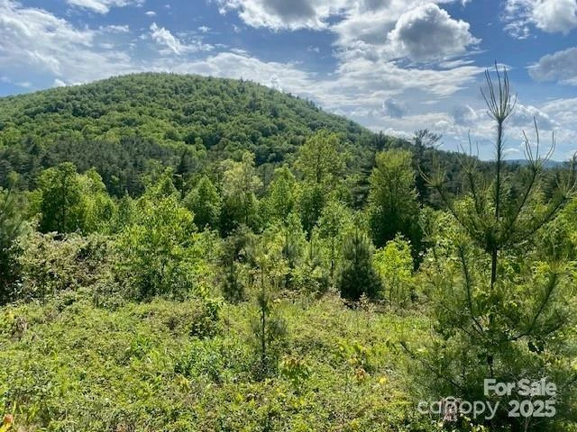 241(Lot 58) Peppervine Circle - Photo 5