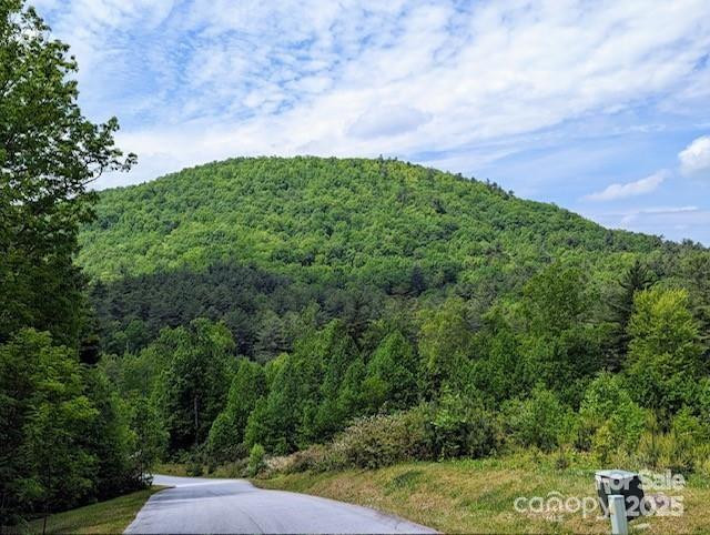 241(Lot 58) Peppervine Circle - Photo 6