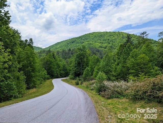 241(Lot 58) Peppervine Circle - Photo 7