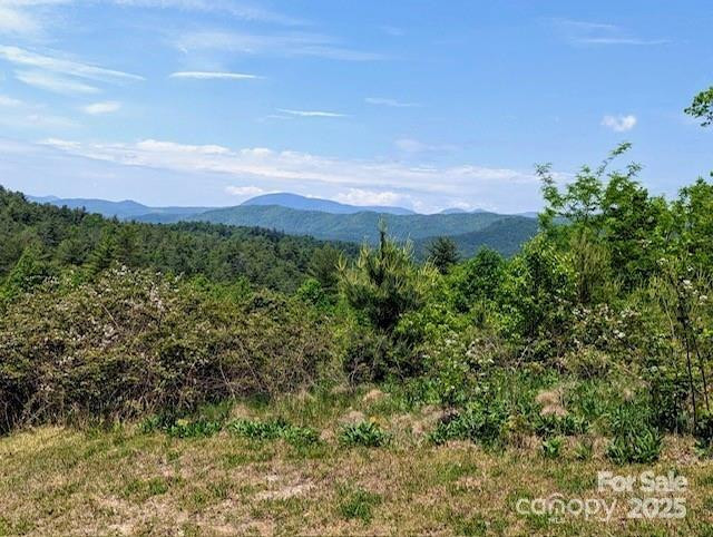 241(Lot 58) Peppervine Circle - Photo 8