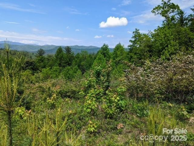 241(Lot 58) Peppervine Circle - Photo 9