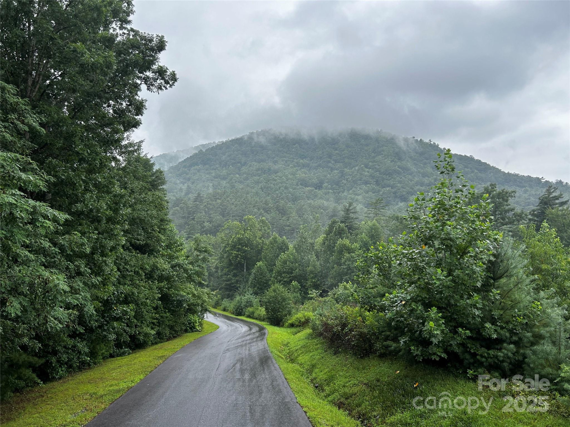 241(Lot 58) Peppervine Circle - Photo 10