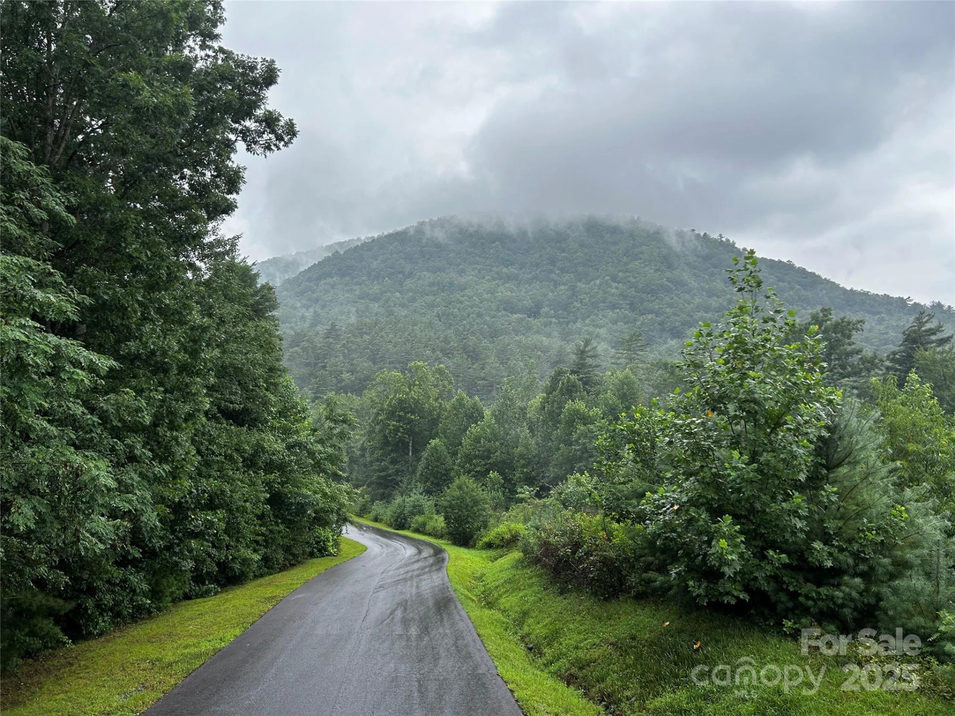 241(Lot 58) Peppervine Circle - Photo 10