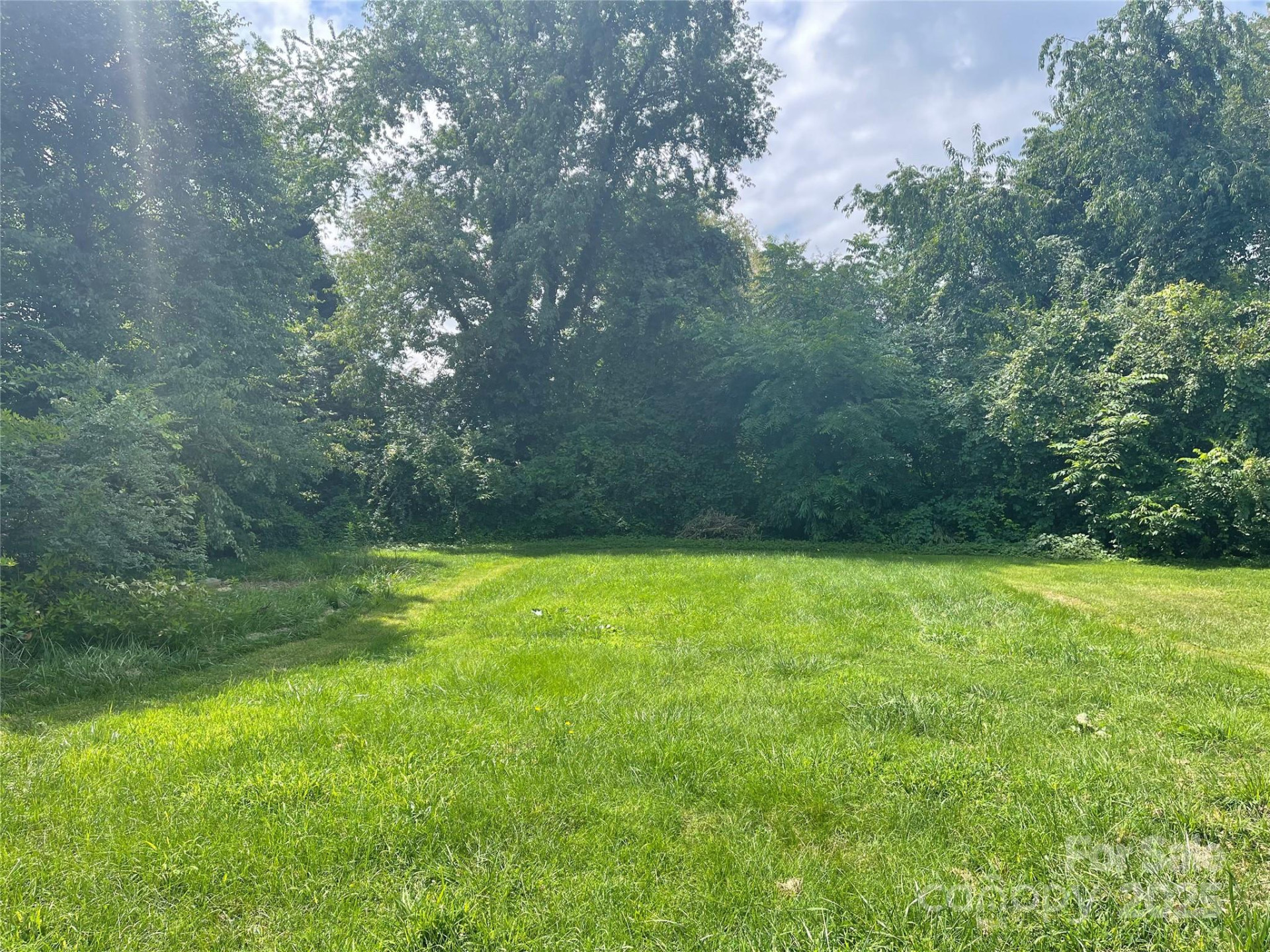 49 Robinson Street - Photo 8