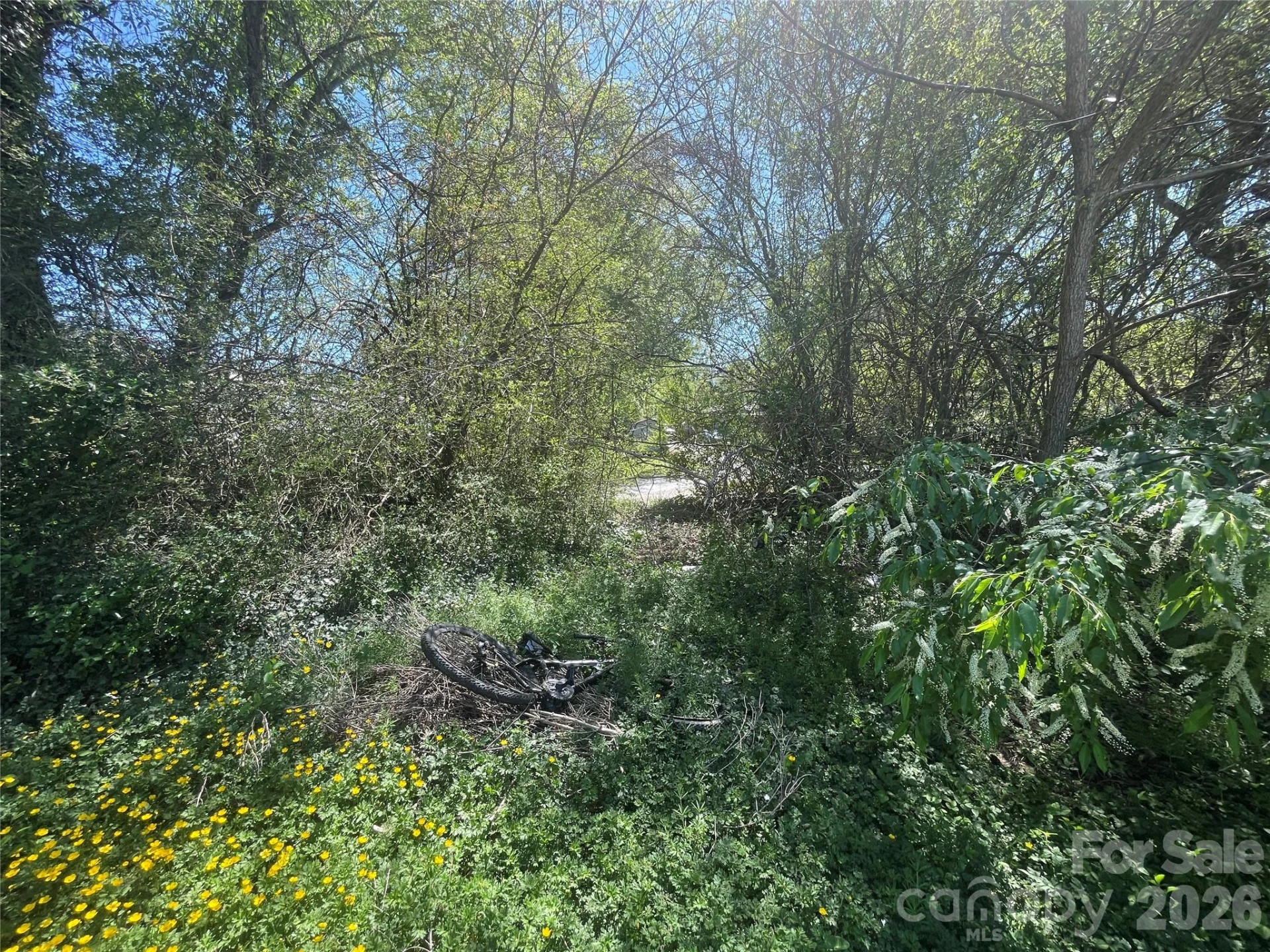 51 Robinson Street - Photo 23
