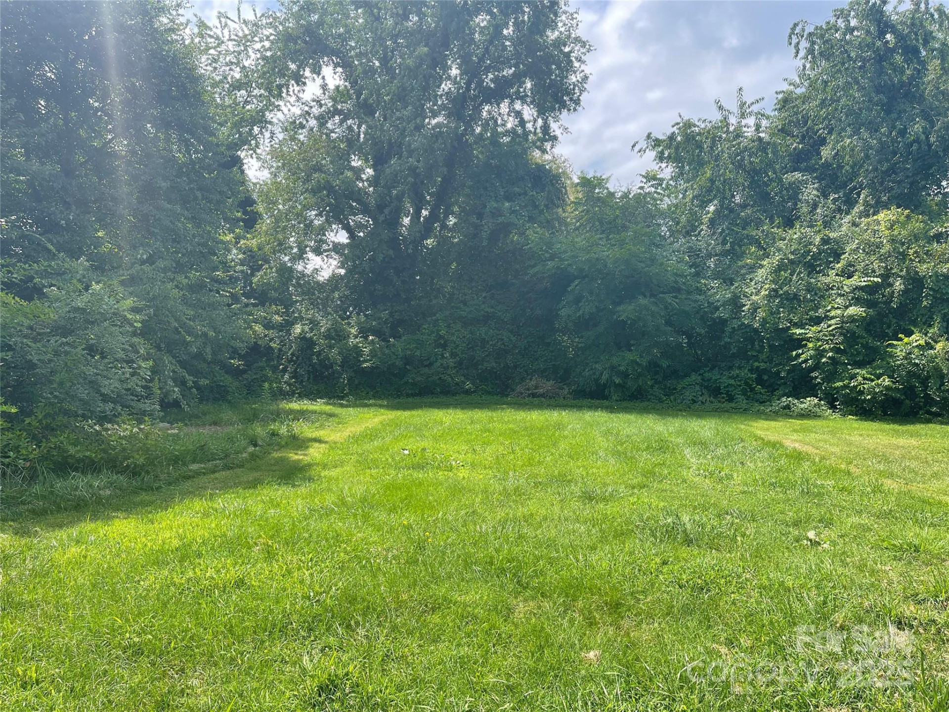 49 Robinson Street - Photo 9