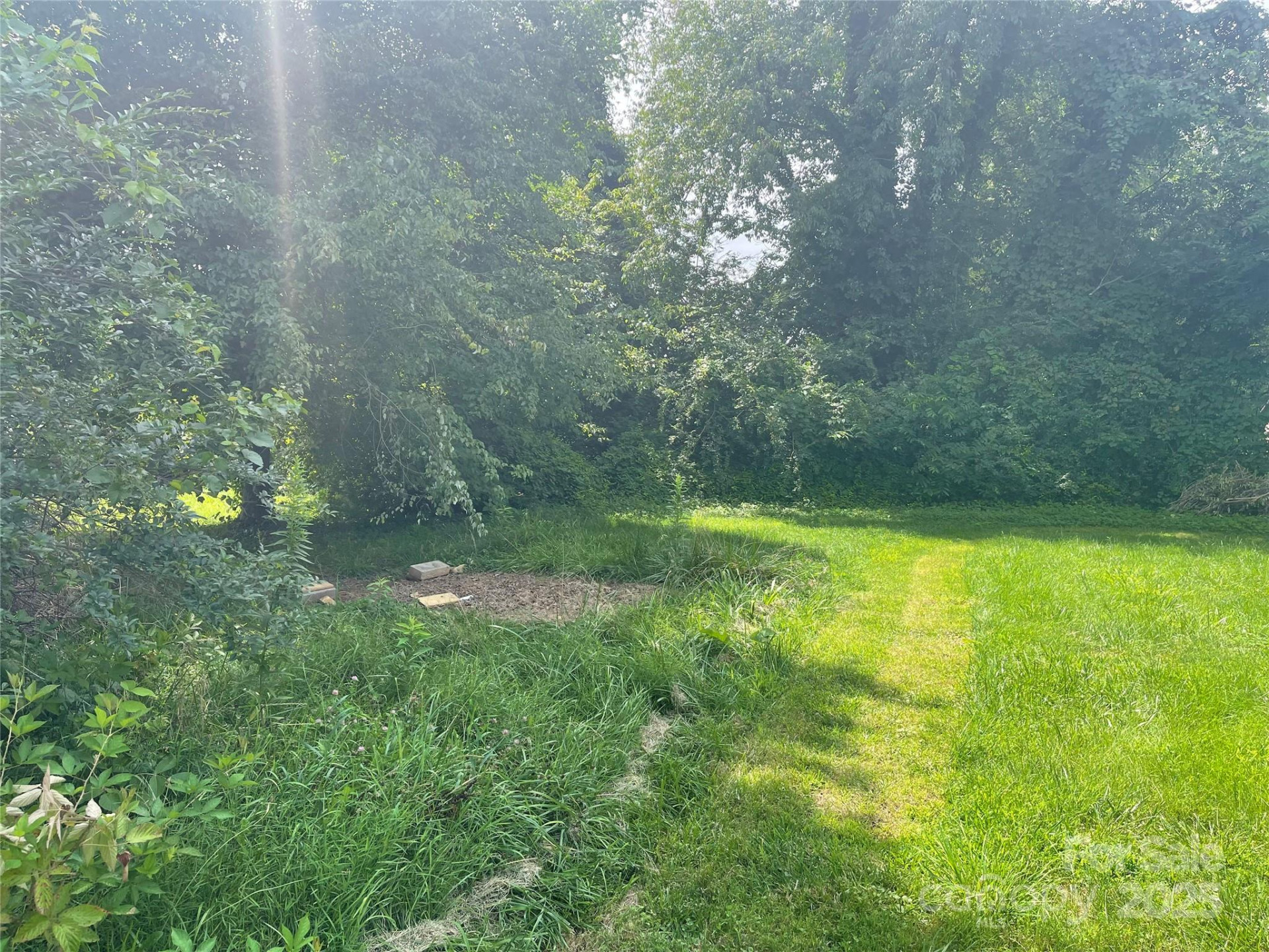 49 Robinson Street - Photo 10