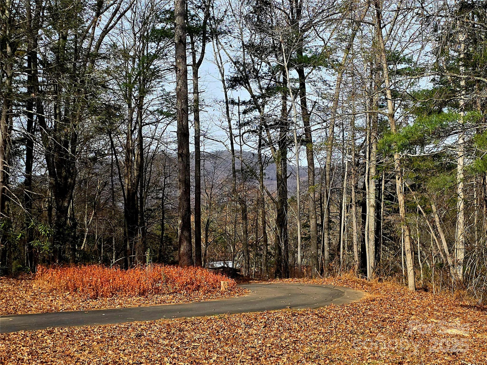 90 Joe Jenkins Road - Photo 4