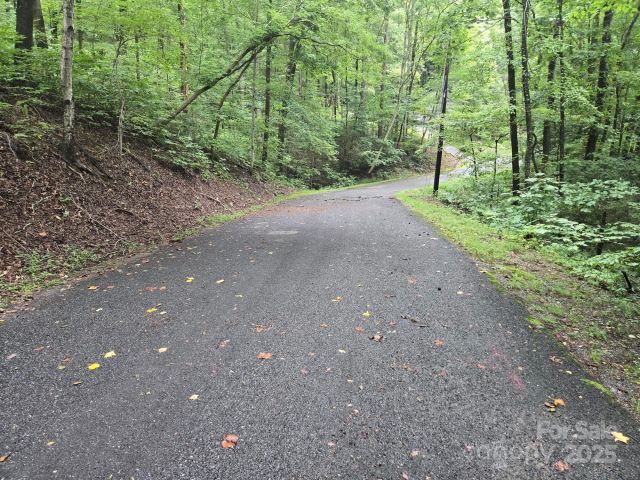 Lot 96 Chalet Road, Lake Lure, NC, 28746