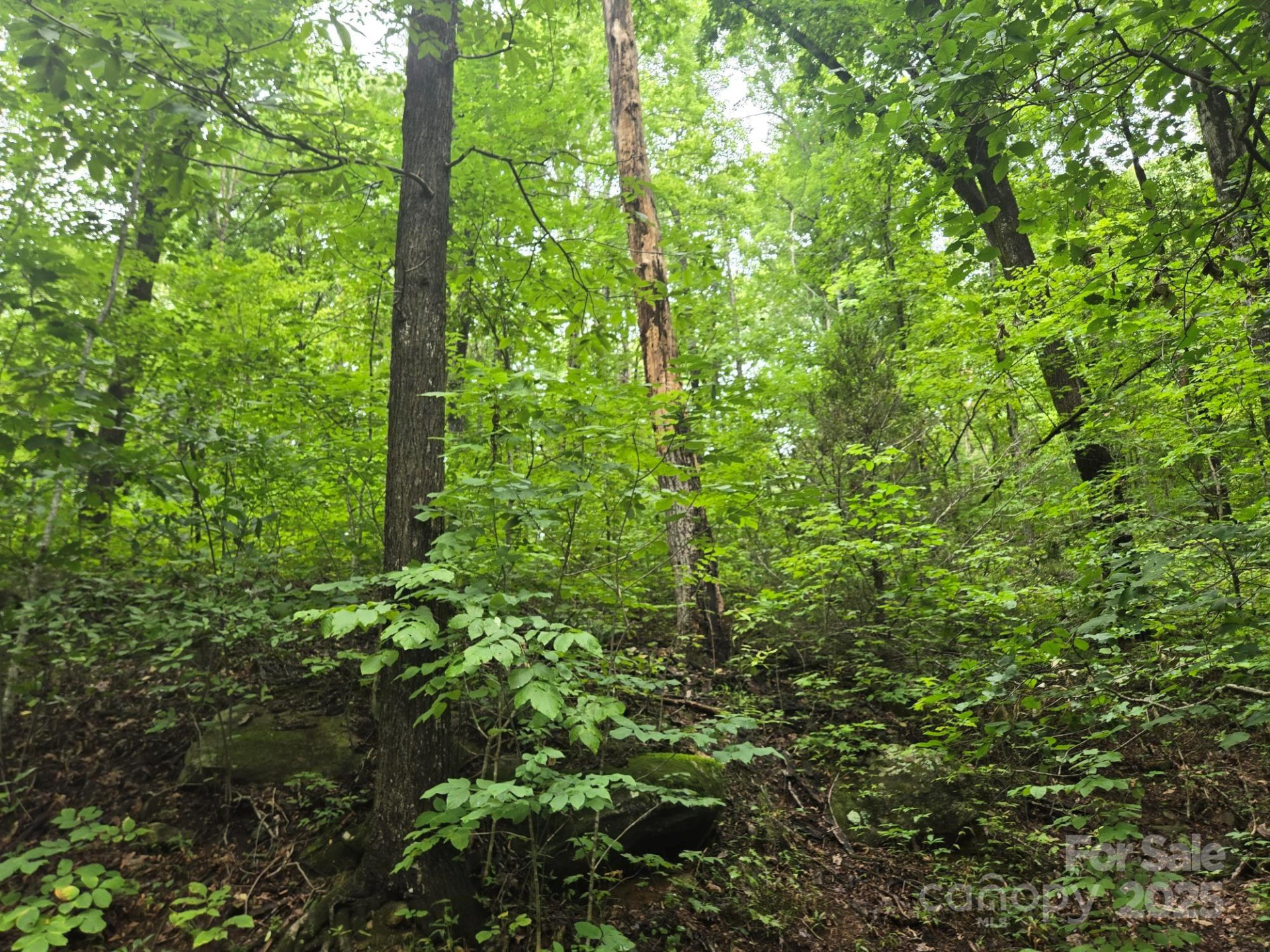 Lot 96 Chalet Road - Photo 2