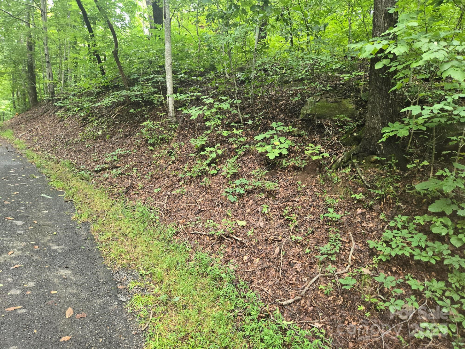 Lot 96 Chalet Road - Photo 3