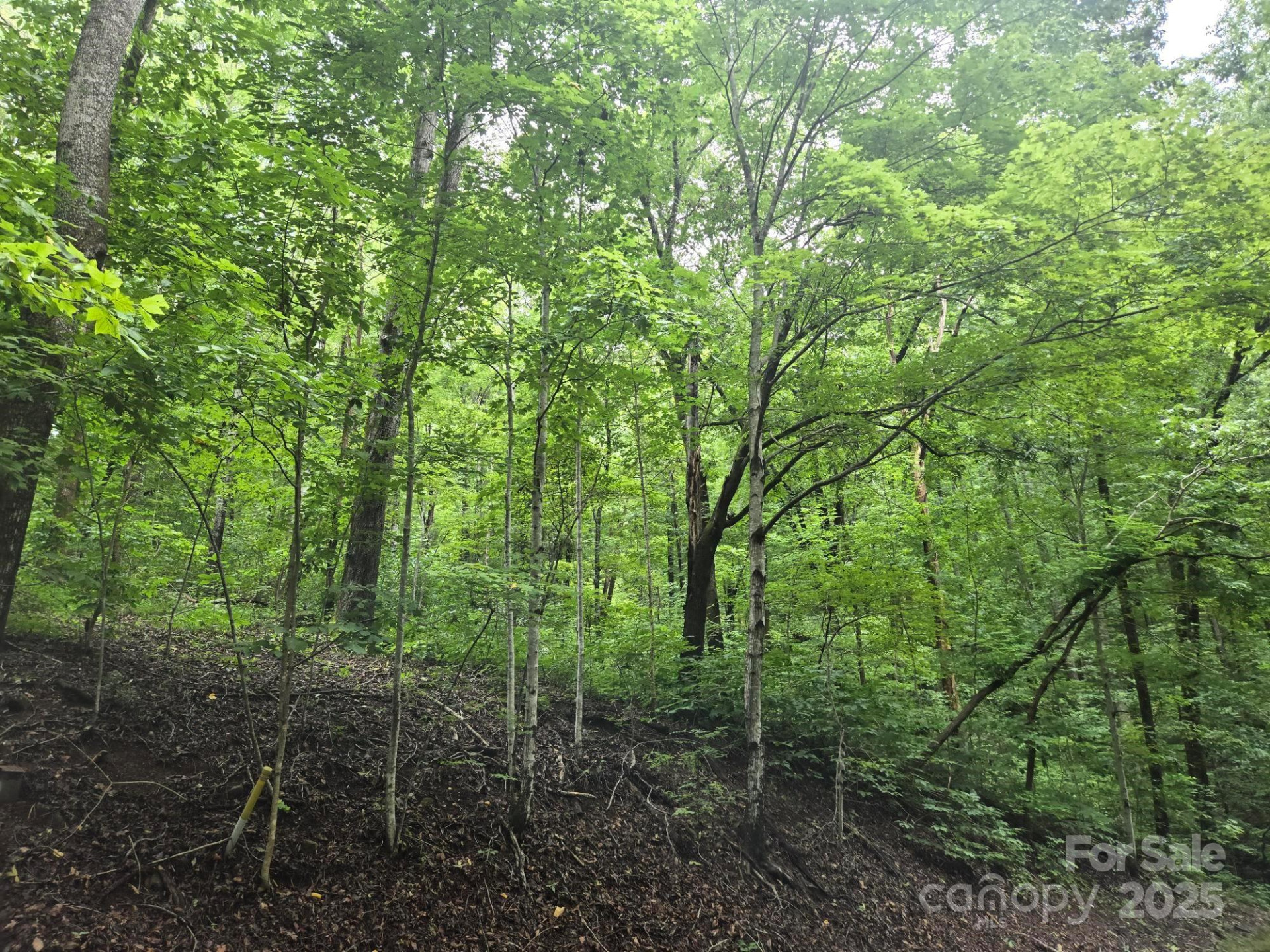 Lot 96 Chalet Road - Photo 4