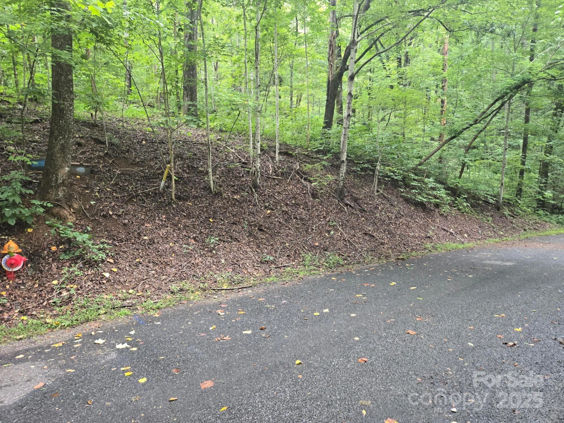 Lot 96 Chalet Road - Photo 5