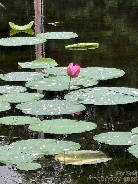 7868/7864 Kinglet Road - Photo 15