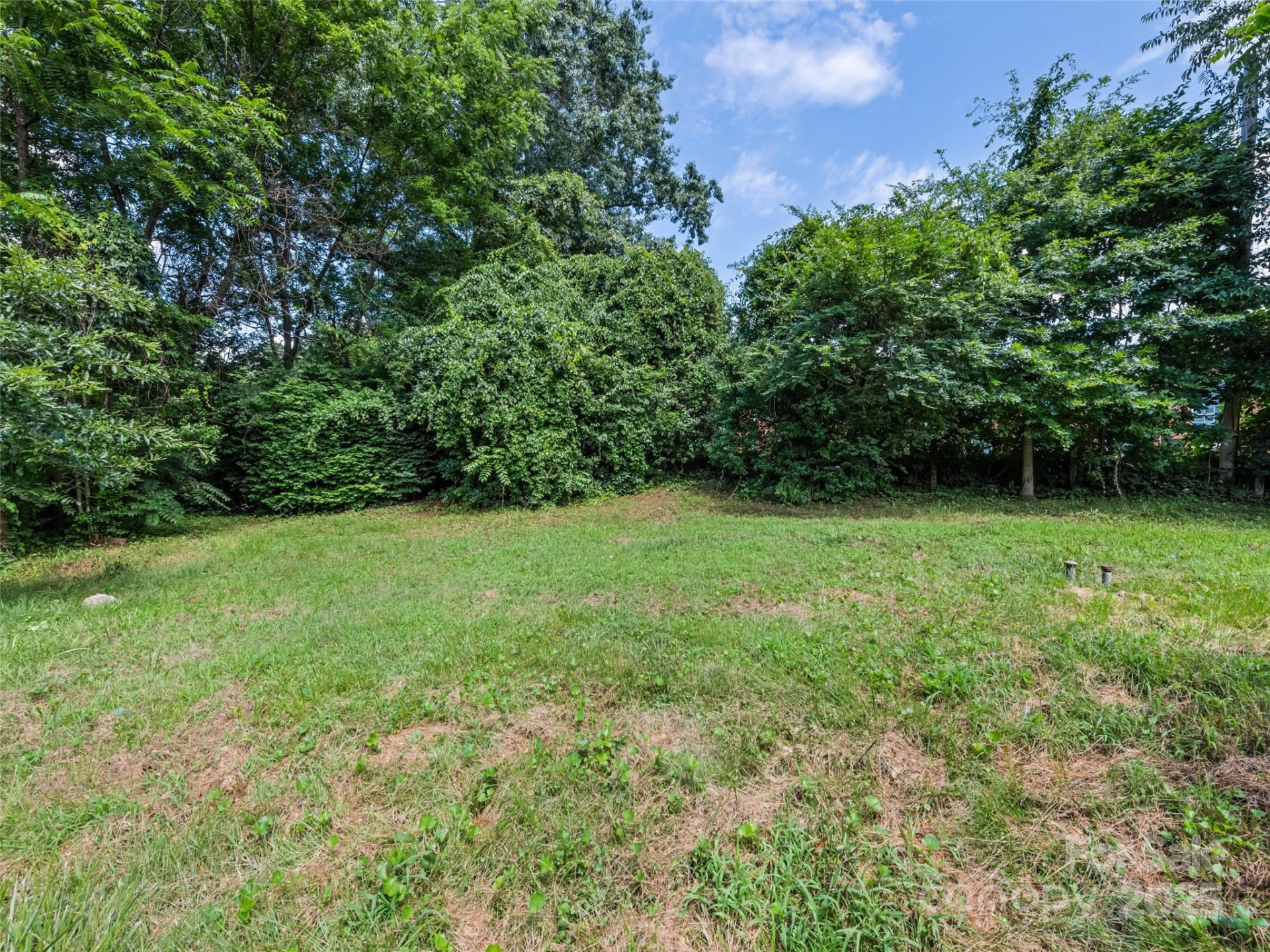 155 Woodland Drive - Photo 7