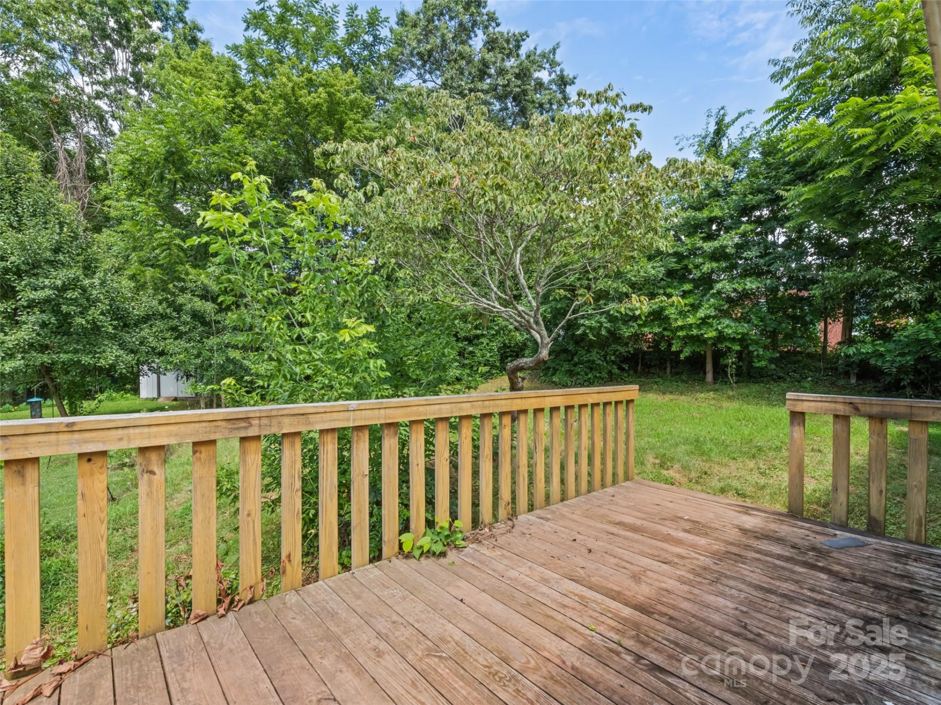 155 Woodland Drive - Photo 9