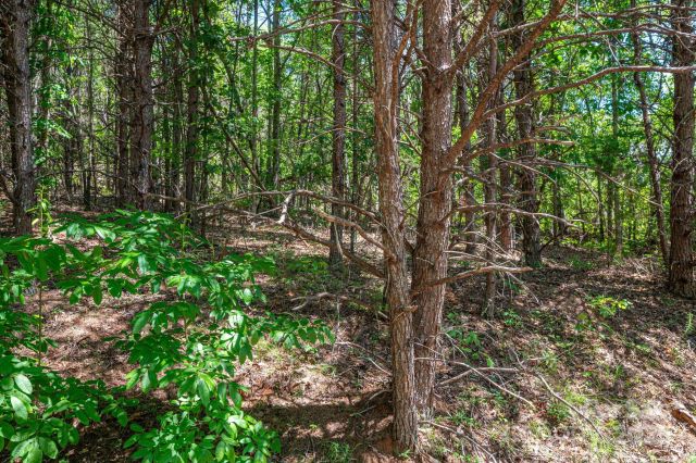 Lot 12 Meadow Crossing Drive